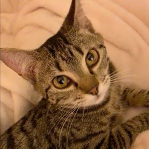 Meet your Posher, Giulianna